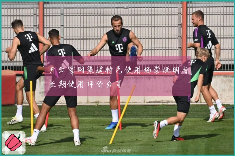 开云官网渠道特色使用场景说明与长期使用评价分享