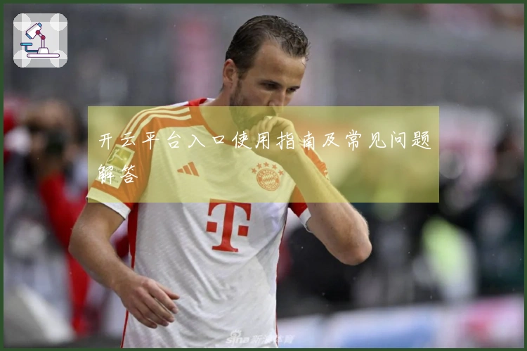 开云平台入口使用指南及常见问题解答