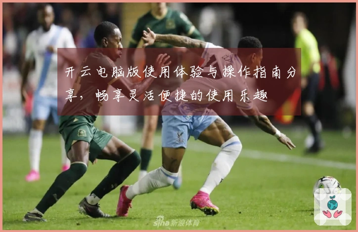 开云电脑版使用体验与操作指南分享,畅享灵活便捷的使用乐趣